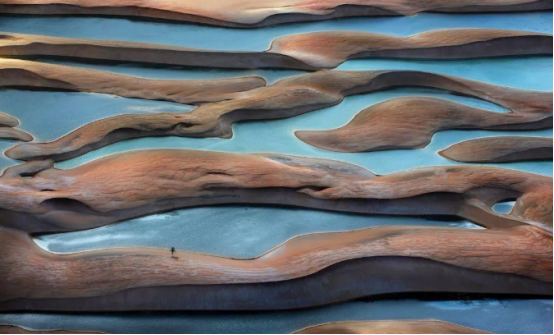 草原|能游泳、钓鱼的沙漠,你去过吗?降水堪比雨林,水比沙子多