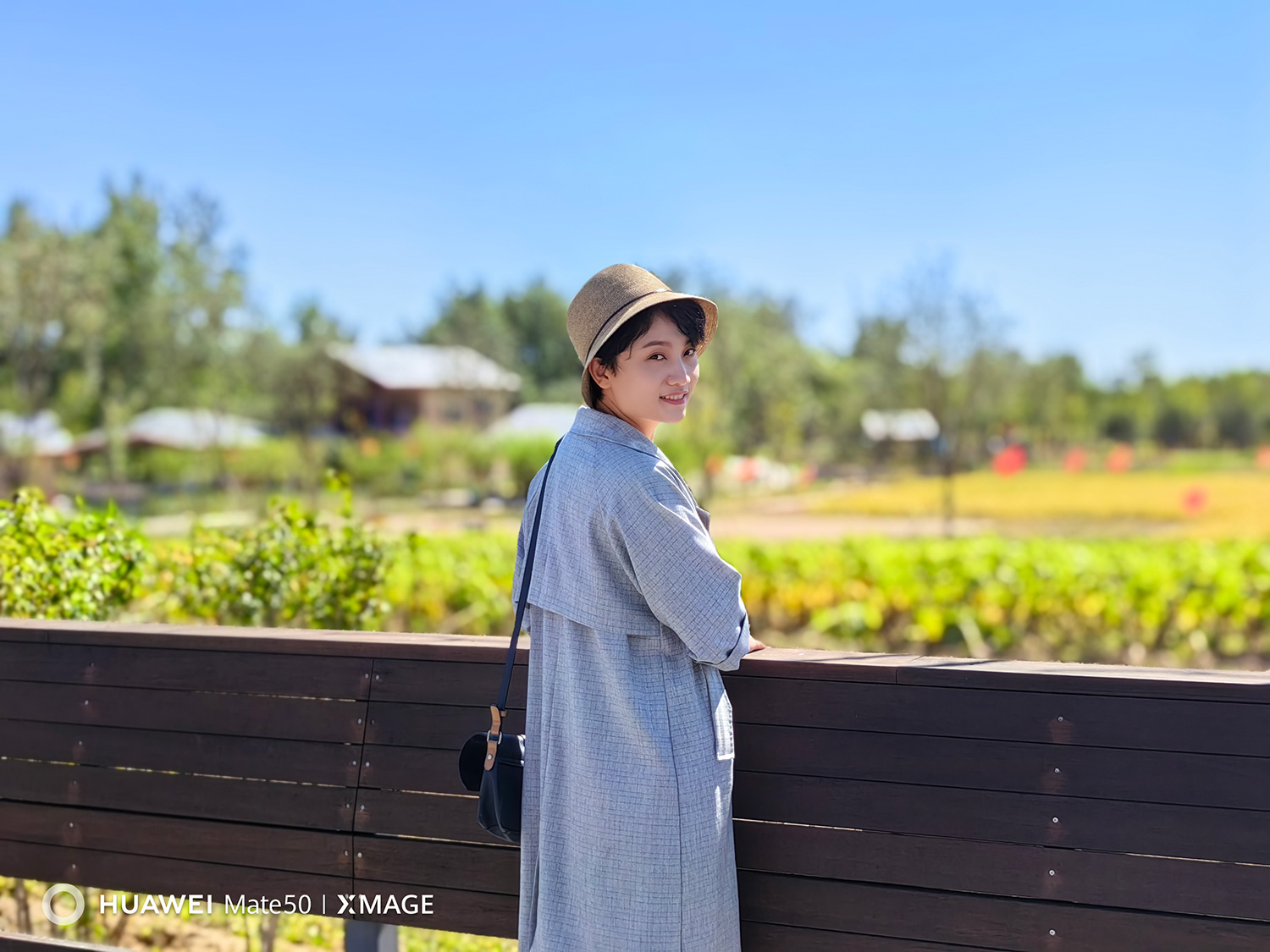 华为Mate 50拍照实际体验:到底有没有跨越提升,样片说了算