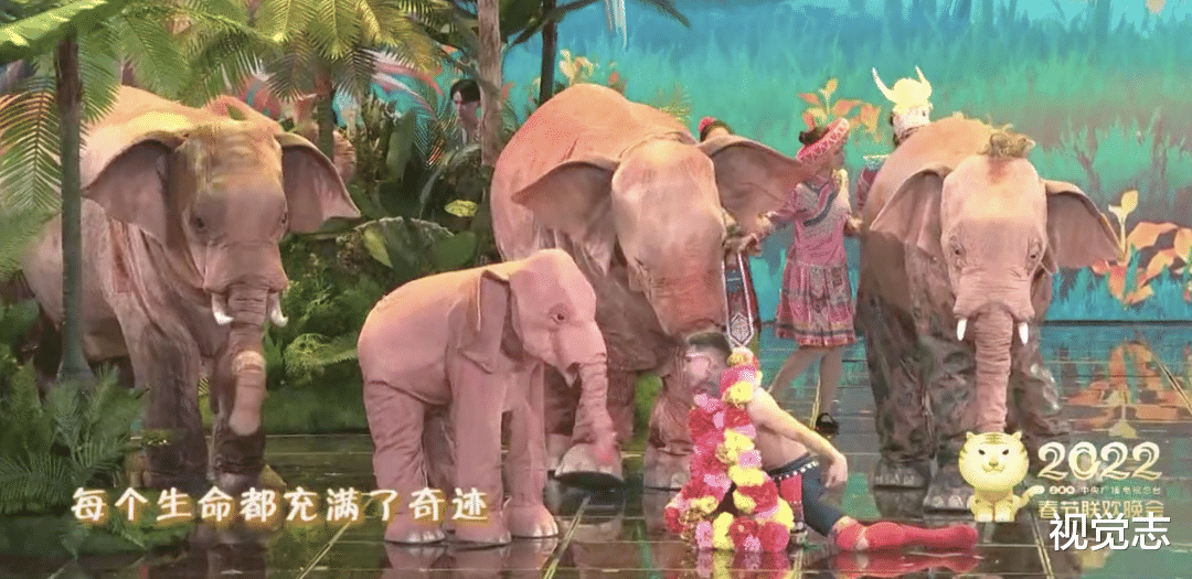 央视春晚|让这群大象走上春晚,是国人17个月的浪漫