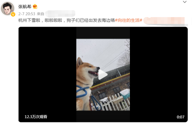 张子枫|《向往6》马上开录!彭昱畅行程曝光录制时间,张子枫遭网友抵制