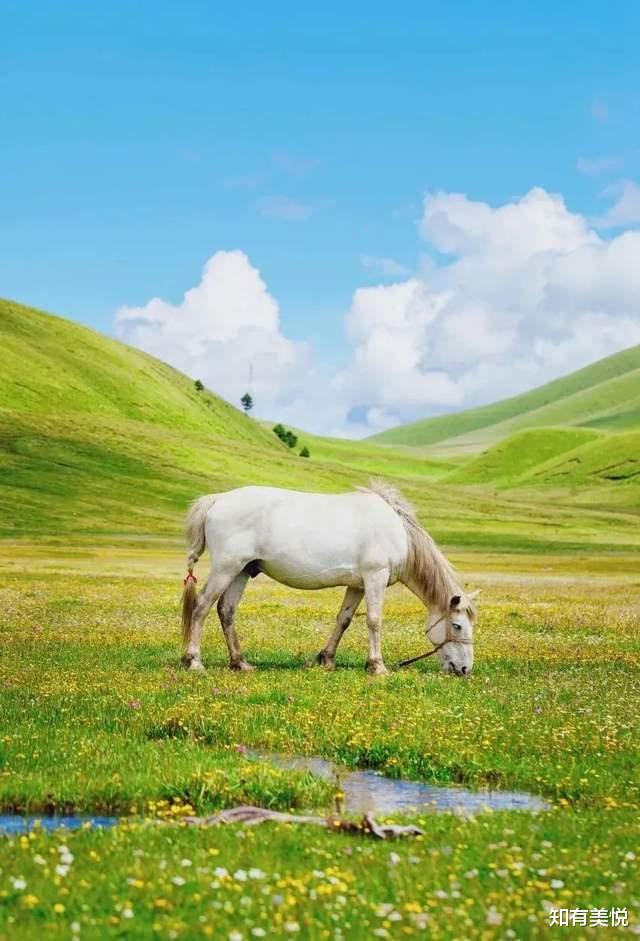 旅行|国内超适合独自旅行的8个旅行地,人少景美,光听名字就想出发!