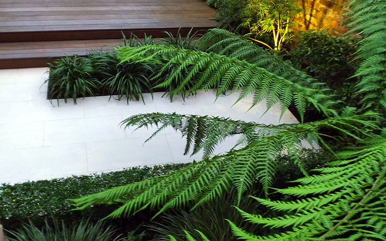 玩转庭院:7个小面积庭院设计,好看实用不花哨,你就照着做吧!