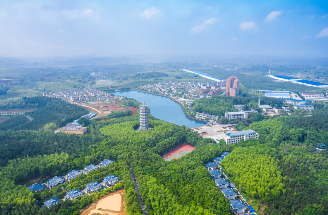 草原|咸宁的一天，原来可以美出四种色调！