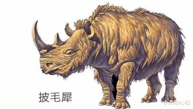 古生物尸体从冻土层中被发现,距今或已有5万年,隐藏危险信号