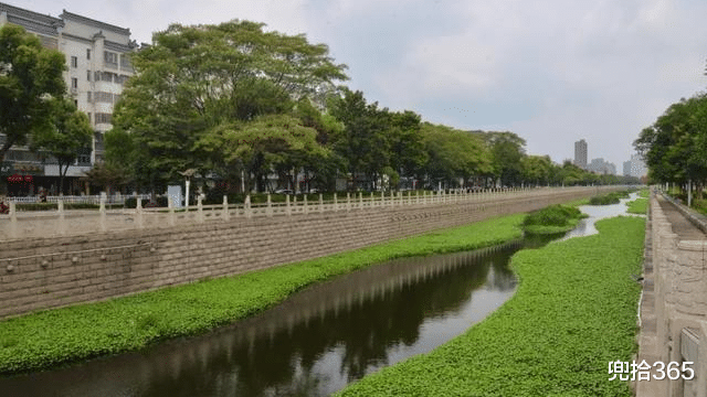 温州|城市河道里钓获“黑鱼王”，环卫工划船来帮忙捞鱼，网友：不能吃