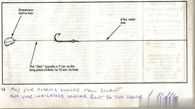许多|世界各国钓手齐聚欧洲比钓鱼，各种钓大鱼策略全解析！
