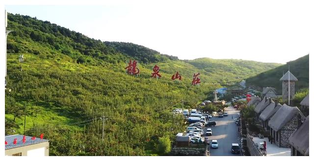 刘老根5|《刘老根5》情节生硬、剧情老套，本山大不如前