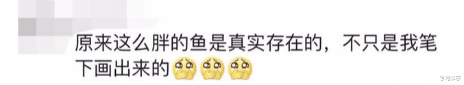 护肤 景区的鱼“猪里猪气”冲上热搜！ 网友慌了：原来游泳真不减肥…