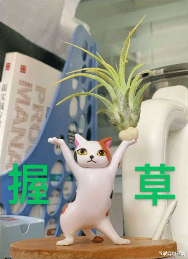 军人|“装修工位”成员达到7.4万,千万社畜在职场完成“退休”