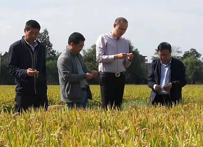 事业单位|又一事业单位公开招聘,所需人才可达731人,往届生也有报名资格