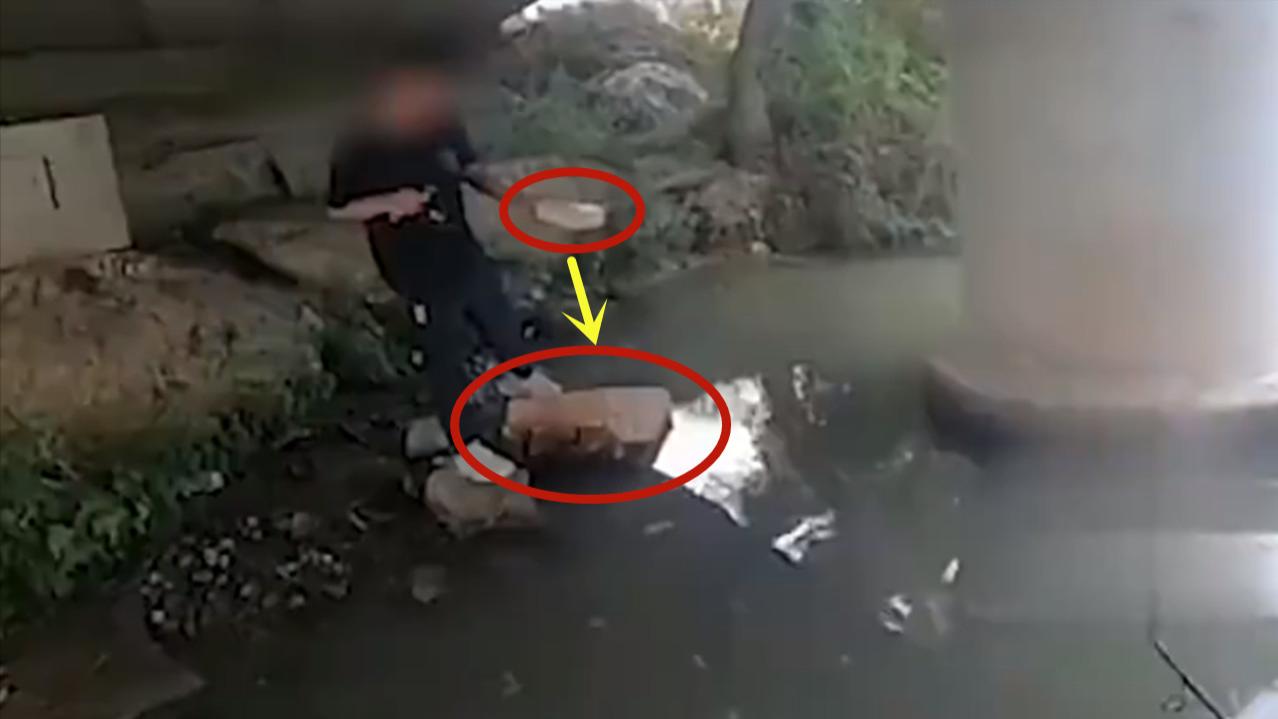 台州|浙江俩男子桥洞下野钓，意外地捡到一个大纸箱，直接抱到了派出所