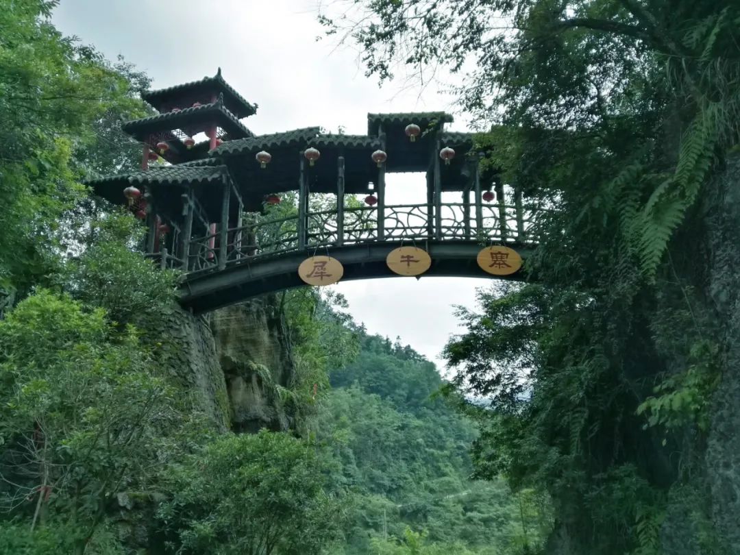 欧洲|重庆端午假期自驾路线，不仅应景还有门票优惠
