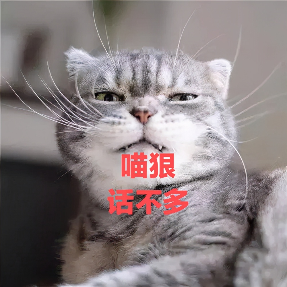 |把别人的轻视，当作成长的功课