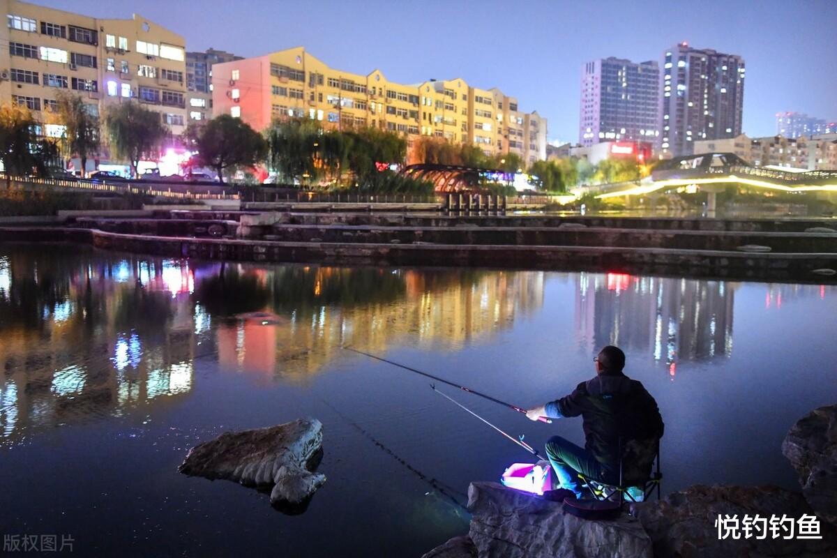 |夜钓的乐趣大概就是这份平静……
