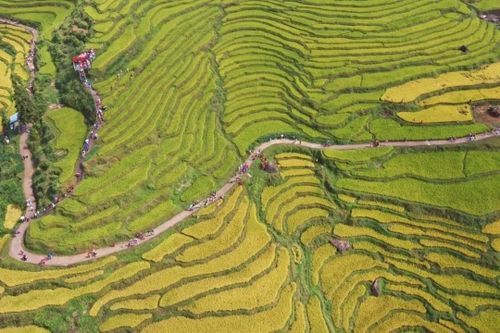 云南|中国最美的5个梯田, 有你家乡的吗
