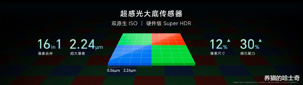 华为荣耀|荣耀 80 系列 发布,2699 元起的定价「卷」死友商?