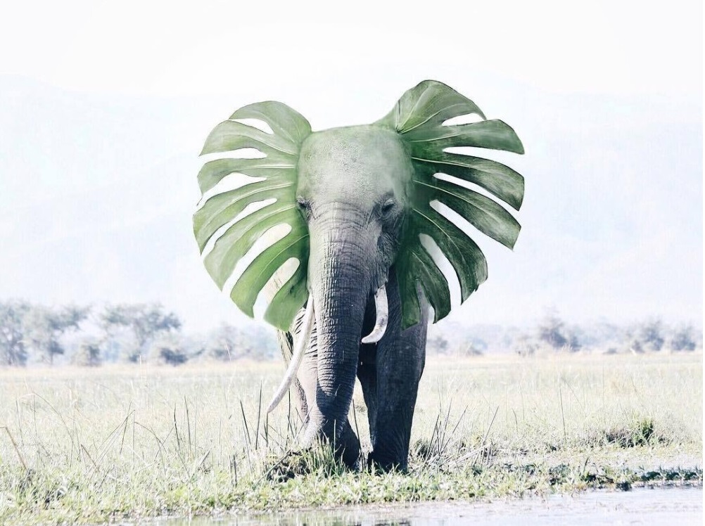 |职场上，做到了这点，领导主动给你加薪！！！