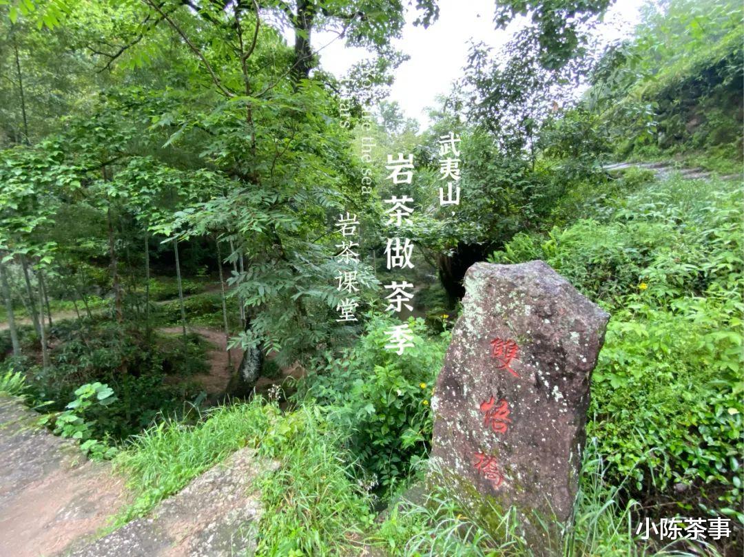 武夷山|章堂涧、古崖居、鹰嘴岩，现场实拍图还原，3分钟带你认识慧苑坑