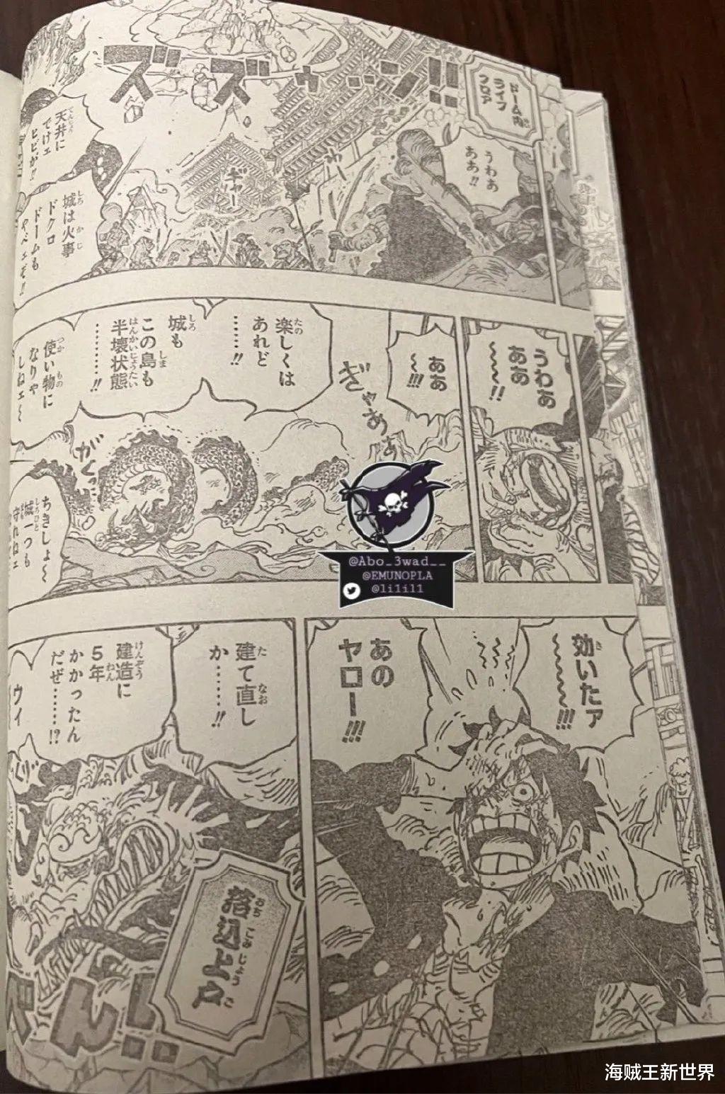 五老星|海贼王1037第二次情报更新|全图整理|四皇争夺战花落谁手|五老星提及神秘果实是？象主为何前来支援？