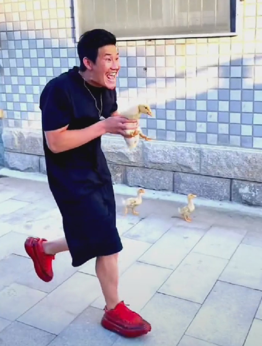 谢孟伟|偷狗、偷猪、偷轮胎，嘎子谢孟伟掌握了流量密码？还是自毁前程？