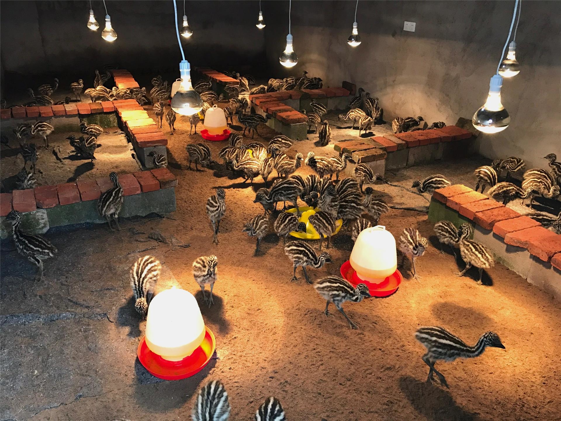 金华|探寻“水之旅”精品线路 解锁婺城山水秘境