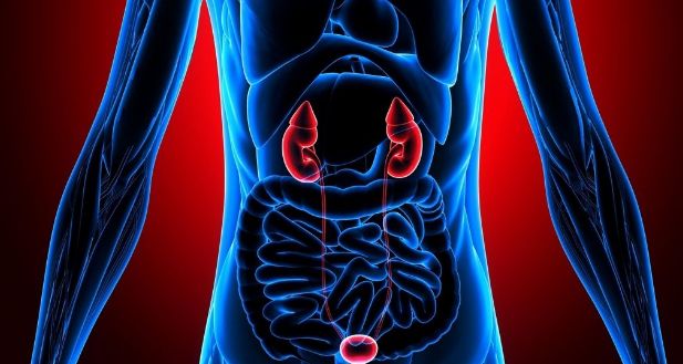 燕麦|五脏六腑最怕什么?你一定要知道!