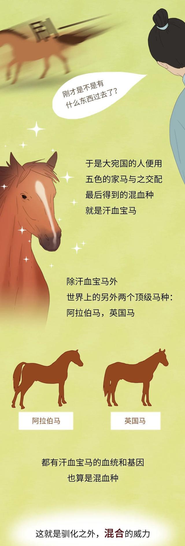 为什么人类“驯化”了猪,却没有“驯化”老虎?一组漫画揭秘!