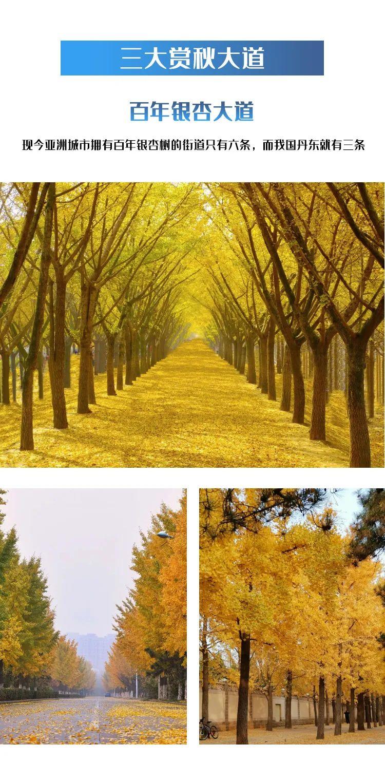 长白山|一个夏天都没出门?不如做一回“第一个看秋色的人”,可好?