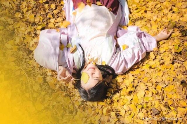 |10月赏秋指南!倒计时开始,带你抓住秋天