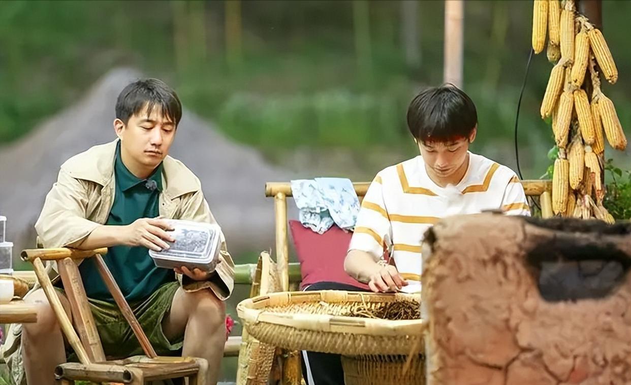 综艺节目|从三个方面来分析,《向往的生活》对综艺节目的发展有何重要意义