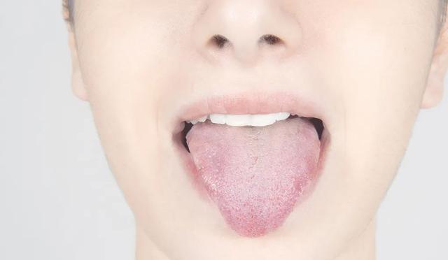 白发|38个冷知识:虽然没有用,但是可以增长见识,原来考拉这么爱睡觉