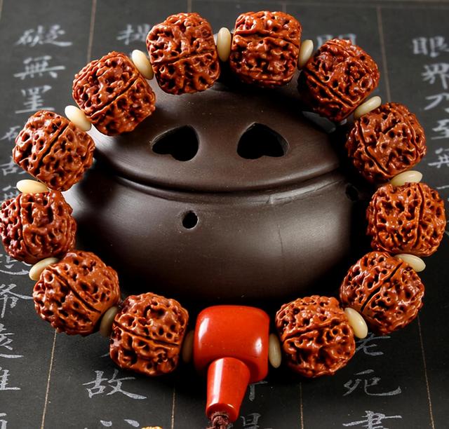 金刚菩提|如何保养金刚菩提手串