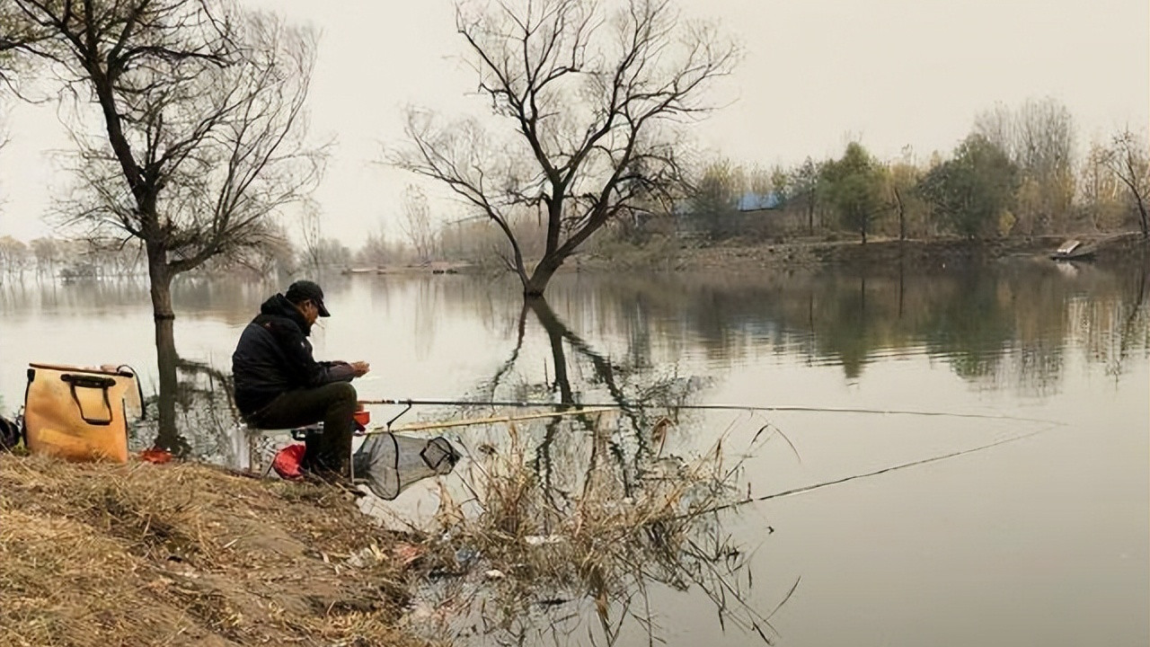 钓鱼|在冬季钓鲫鱼的“窗口期”出钓，能过把钓鱼瘾，还可能连竿爆护