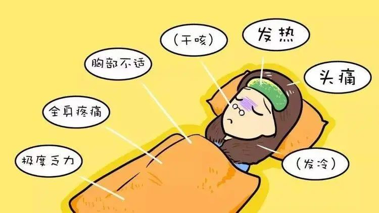 水果|如何从寒热看病性病位（1/2）