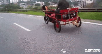 长江|“找了个日本老婆，她说这是天生的皮肤病！”遗传的天生丽质吗