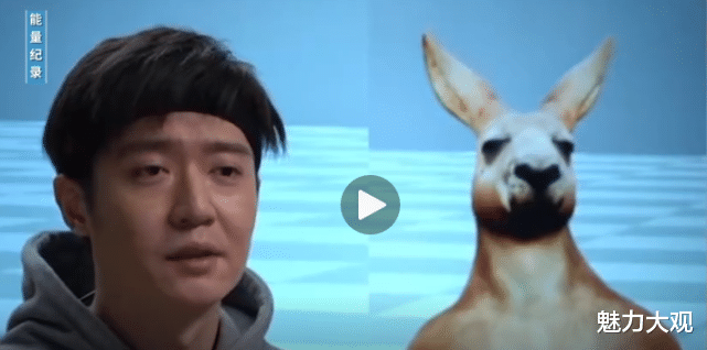 为了演好袋鼠,他苦练一年,独行月球这部影片讲述的其实是拯救!