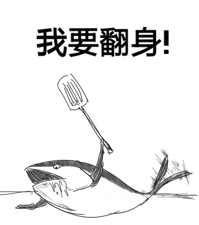 薪水|当代九五后打工人职场图鉴:“咸鱼不想翻身,摆烂大有人在”