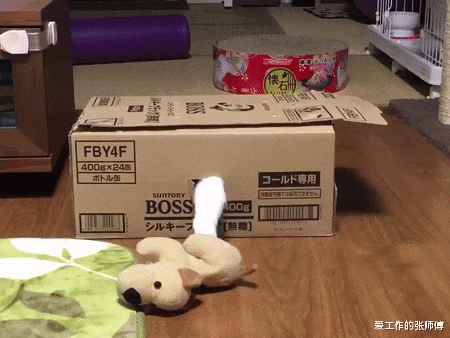 |“想让沉迷游戏的老婆去上班,该怎么劝?”神点评绝了...