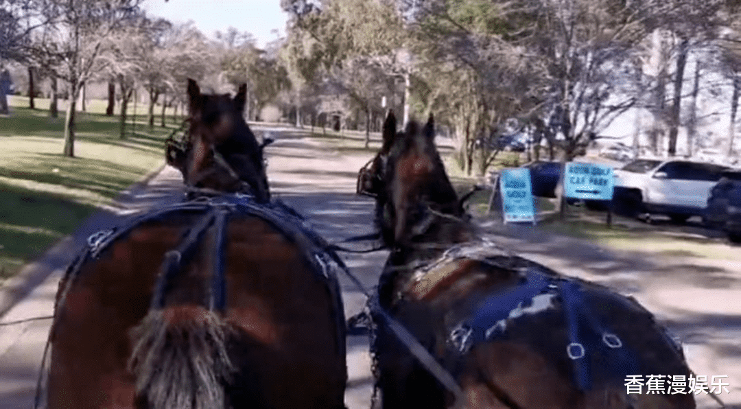 明星|晚年移居国外养老的10位知名明星，住别墅开餐厅，个个生活美满