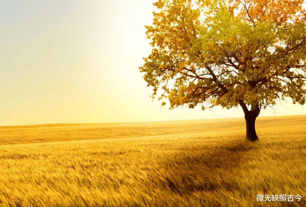 运势|这几个星座接下来事业会获得成功,让人无比羡慕