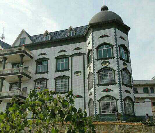 短视频|公婆回农村盖房,1000平别墅把全村人都吓坏了,抢着来参观!