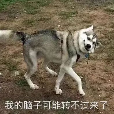 马圭尔|马圭尔这么努力了，你们怎么还要给他寄炸弹啊？
