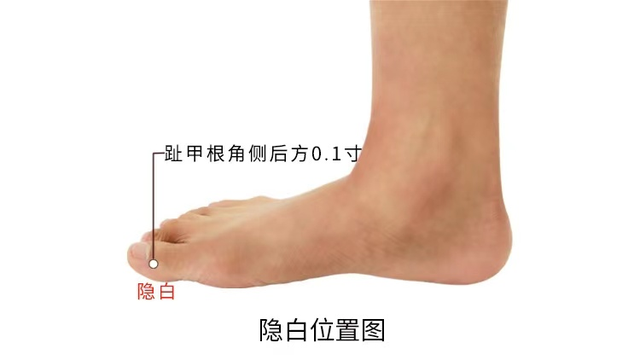 经络|经络穴位,一日一学——隐白,便血、尿血可快速止血