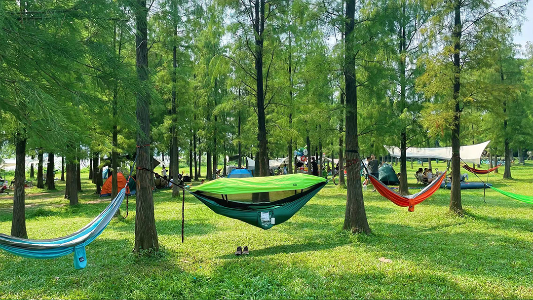 露营|文旅部等十四部门，大力发展多样营地，鼓励郊野公园提供露营服务
