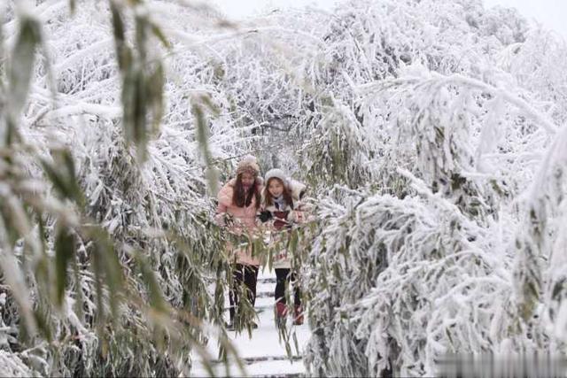 金佛山|带你走进重庆南川金佛山冰雪童话世界里