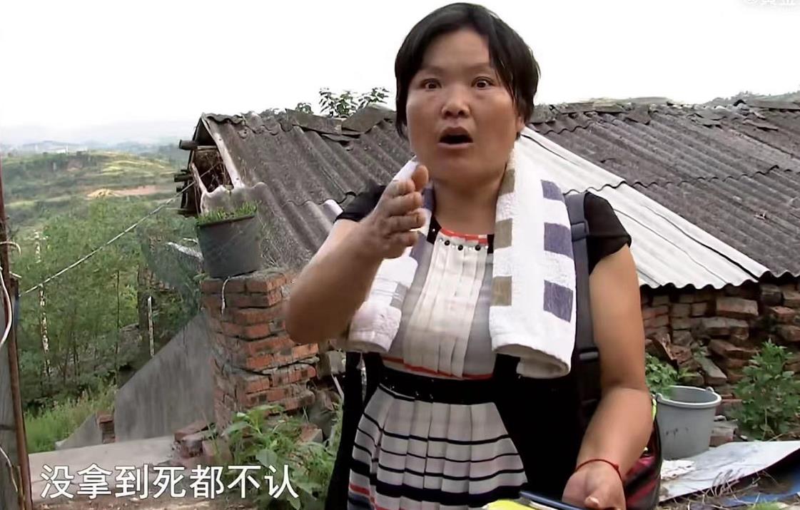 儿媳外出打工期间,老家房子即将征收,公公4万元偷卖给自己女儿