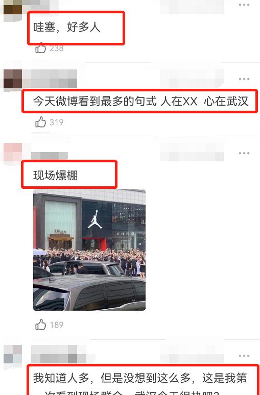 刘亦菲|刘亦菲出活动人山人海,路人顶着40度爬树看女神,国民度独一无二