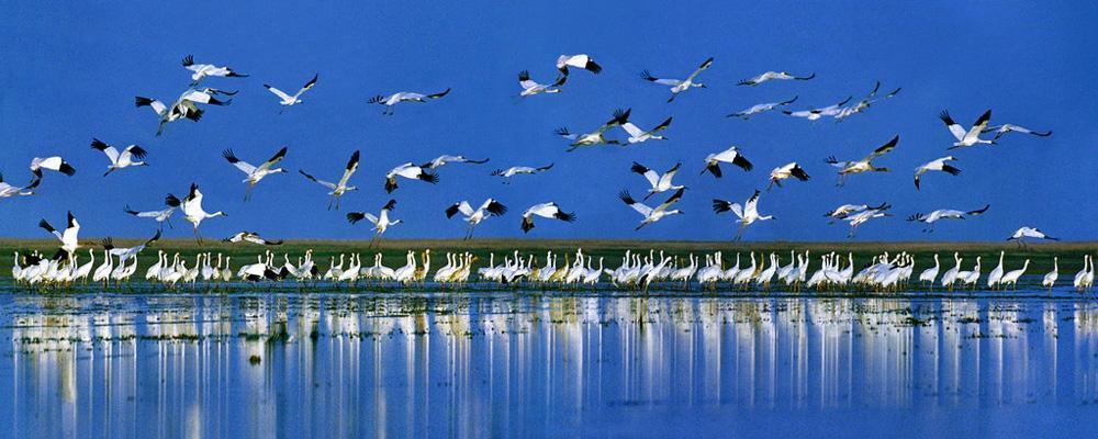 洪泽湖|洪泽湖退水出现砖块和绳索，网友疑似拋沉尸骨，却是钓鱼人打窝？