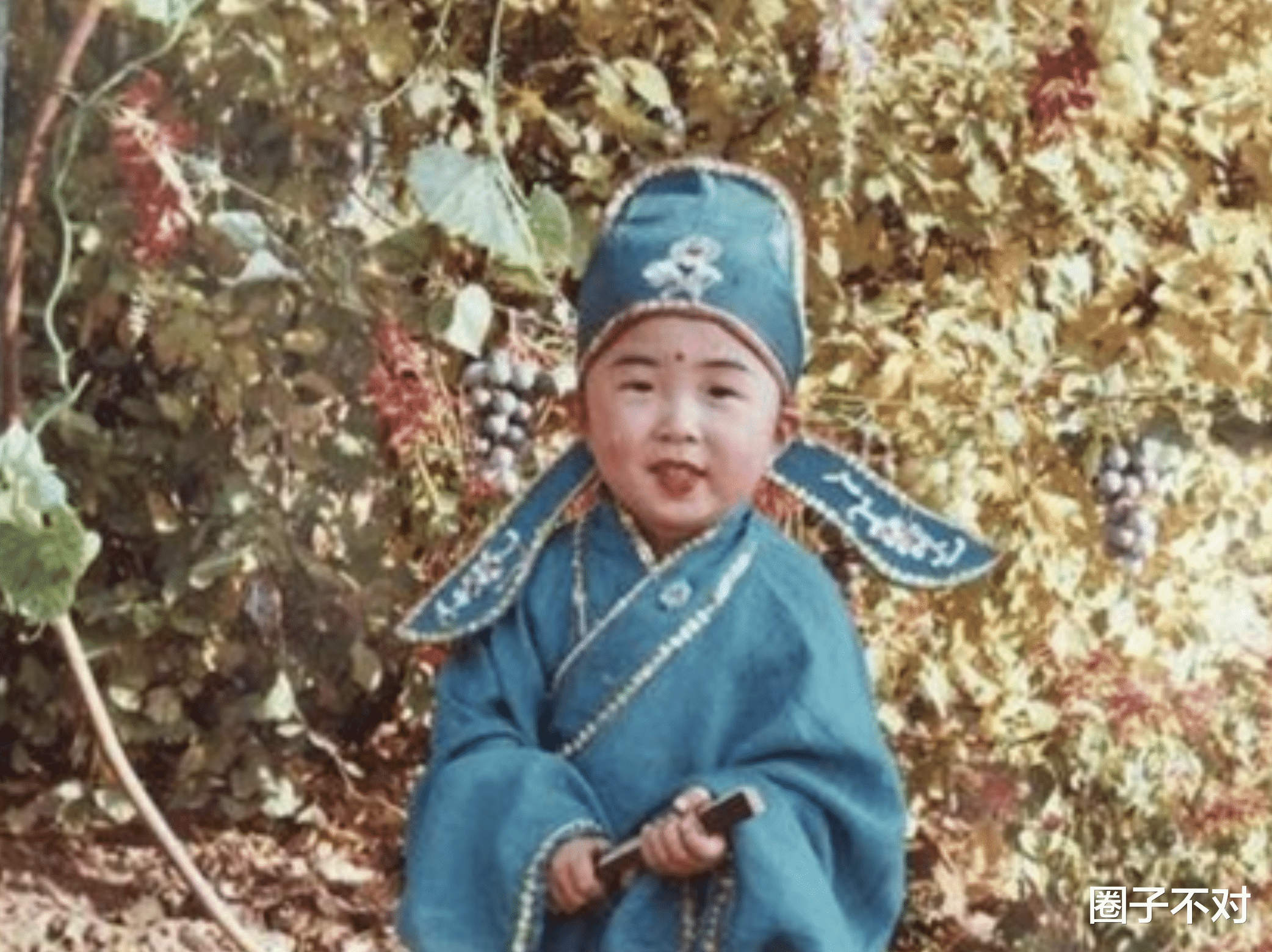 杜海涛|杜海涛，“错把平台当本事”终将付出代价