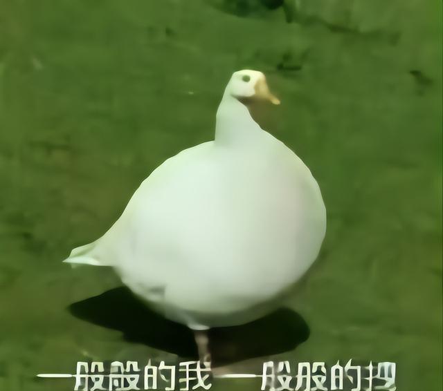 招聘|2022年,没有“招聘旺季”,1000万应届生内心焦灼